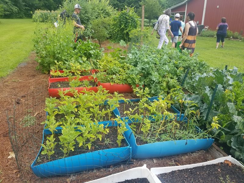 Stoney Creek Farm &mdash; Franklin