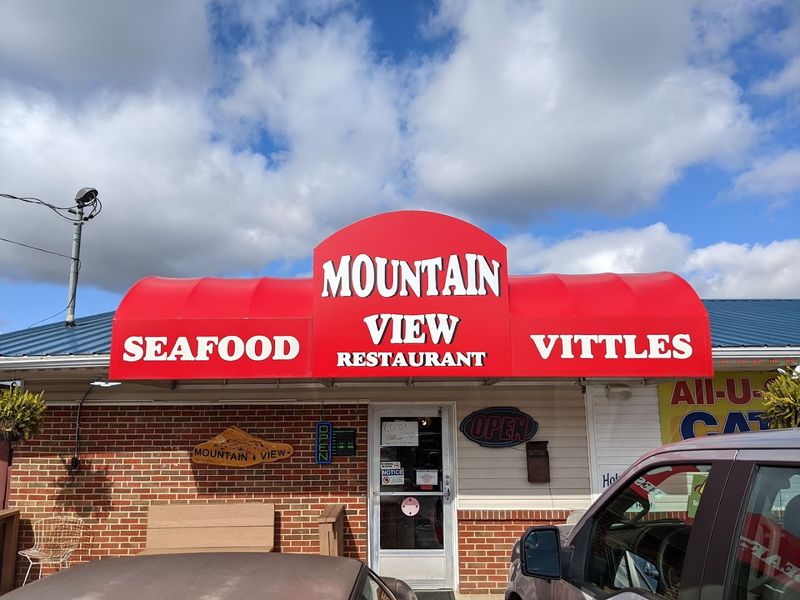 Planning a Visit to Mountain View Restaurant? Here's What to Expect