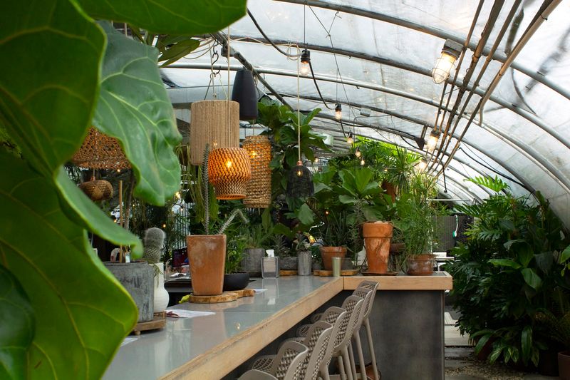 This Tennessee Greenhouse Bar Feels Like a Hidden Oasis Where Vines Surround Every Table