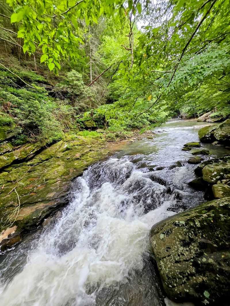 Laurel-Snow Trail — Dayton