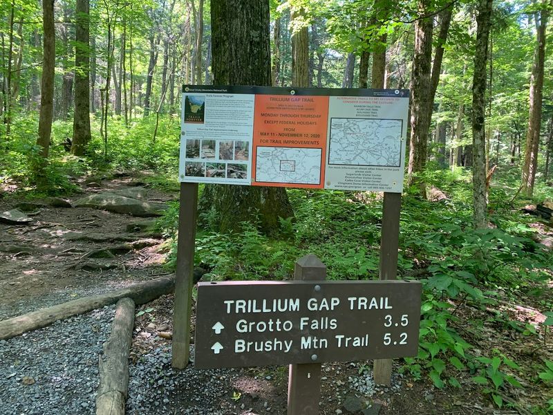 Rainbow Falls Trail, Great Smoky Mountains National Park