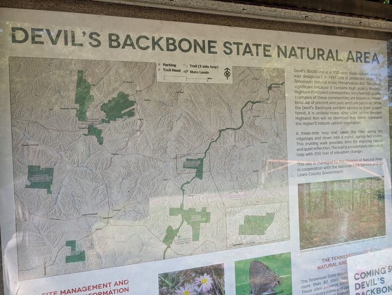 Why Devil's Backbone State Park Belongs on Your Tennessee Road Trip List