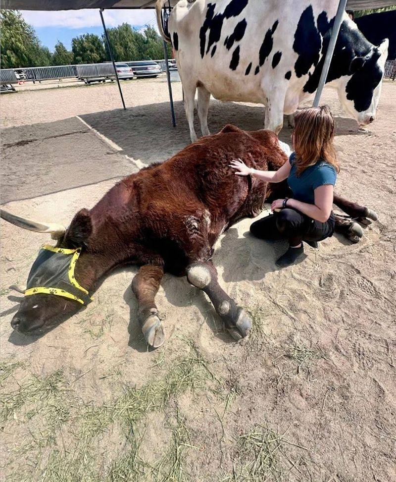 What It Feels Like to Spend a Sunday Morning at The Gentle Barn