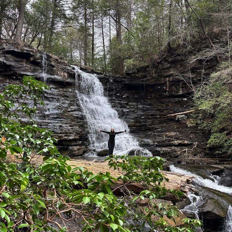 What to Know Before You Go