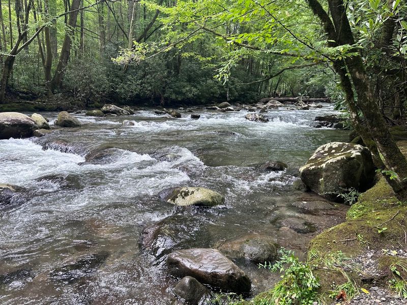 Porters Creek Trail, Great Smoky Mountains National Park