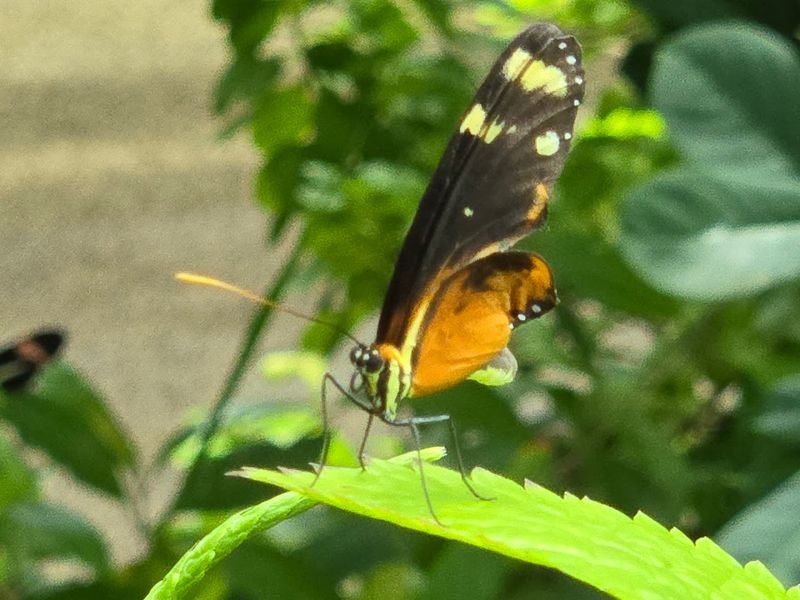 Why This Chattanooga Spot Appeals to Kids and Adults Alike