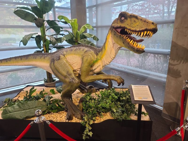 Wonders Center & Science Museum &mdash; Dickson