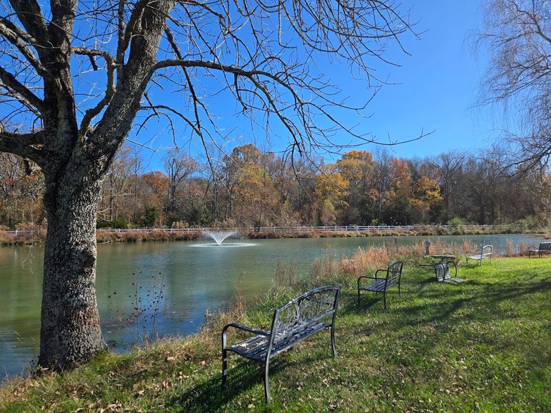 Why April Is Such a Beautiful Time to Visit The Gentle Barn