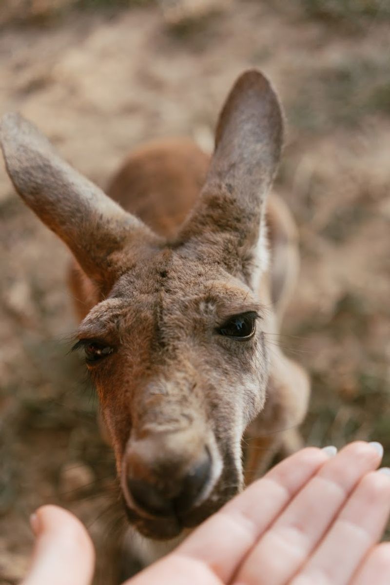 The Experience Feels Hands-On, Family-Friendly, and Perfect for Animal Lovers