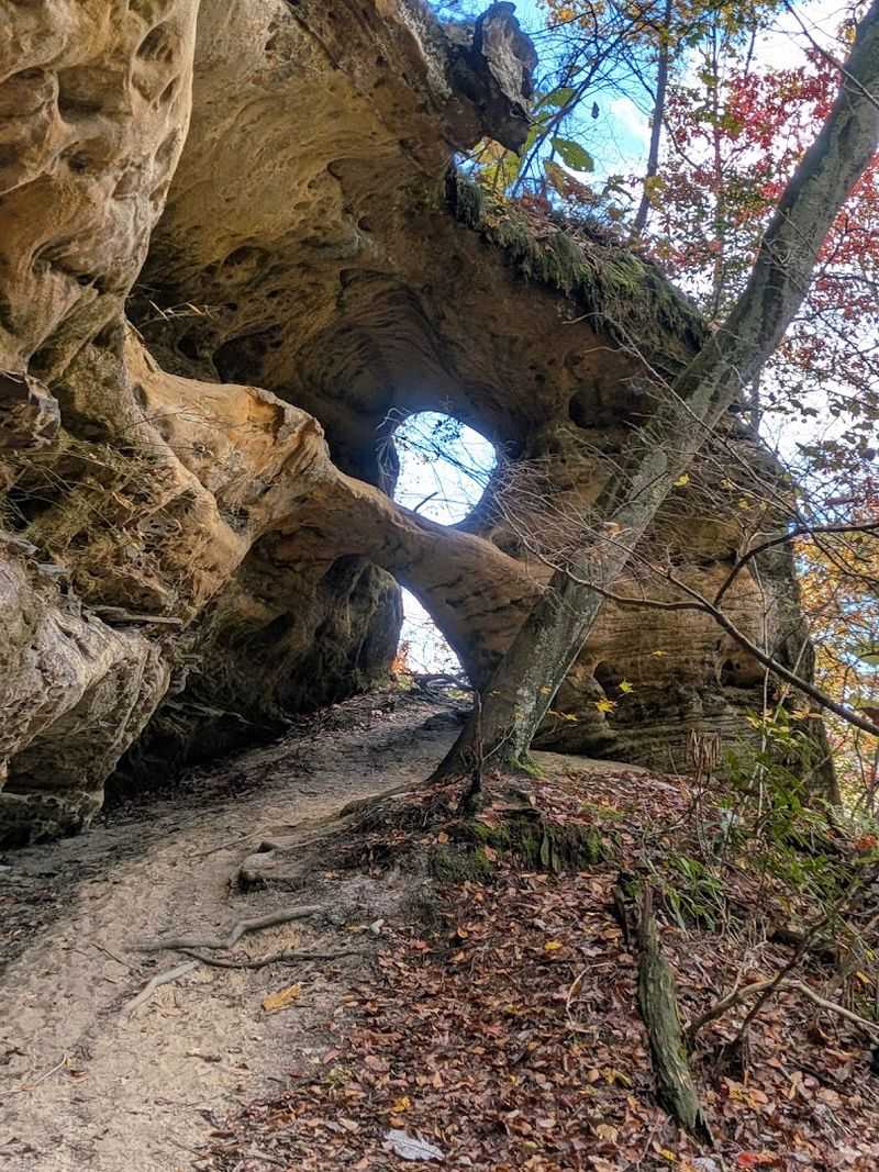 Pickett CCC Memorial State Park & Pogue Creek Canyon (Jamestown)