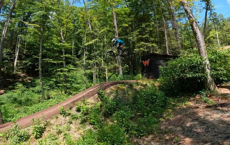 Why This Tennessee Attraction Belongs on Your Spring Bucket List