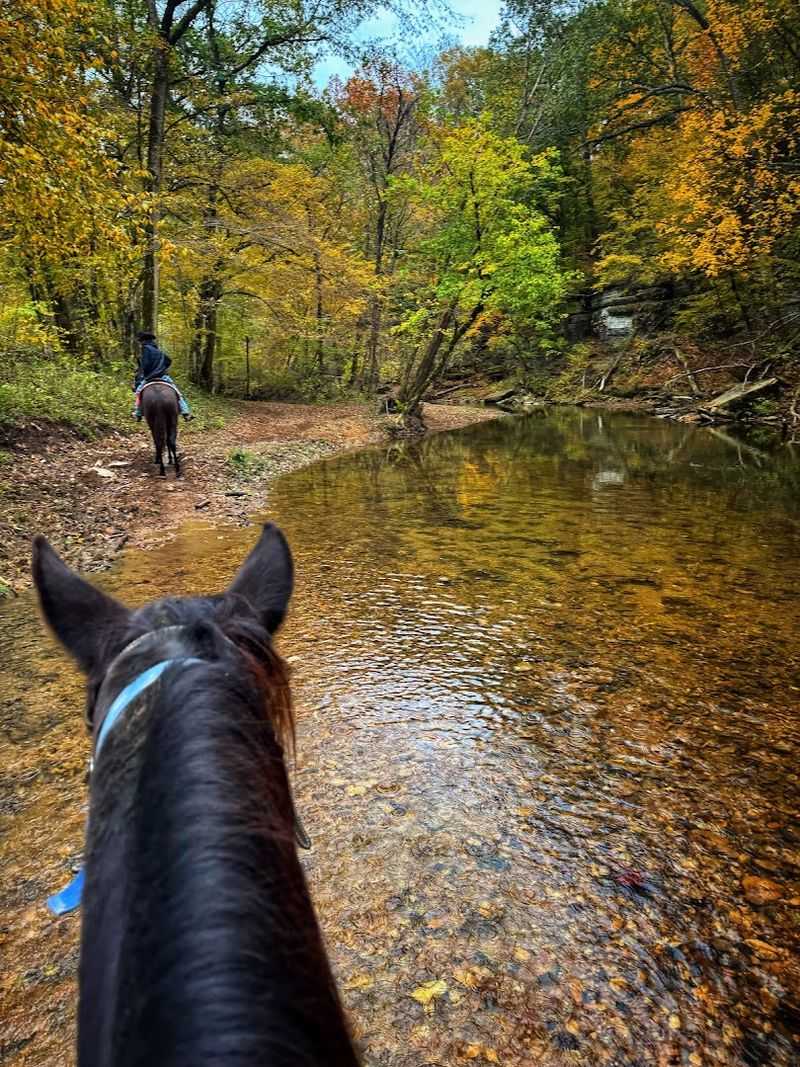 Natchez Trace Stables &mdash; Primm Springs