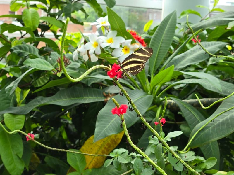 The Warm, Bloom-Filled Space That Makes the Experience So Special