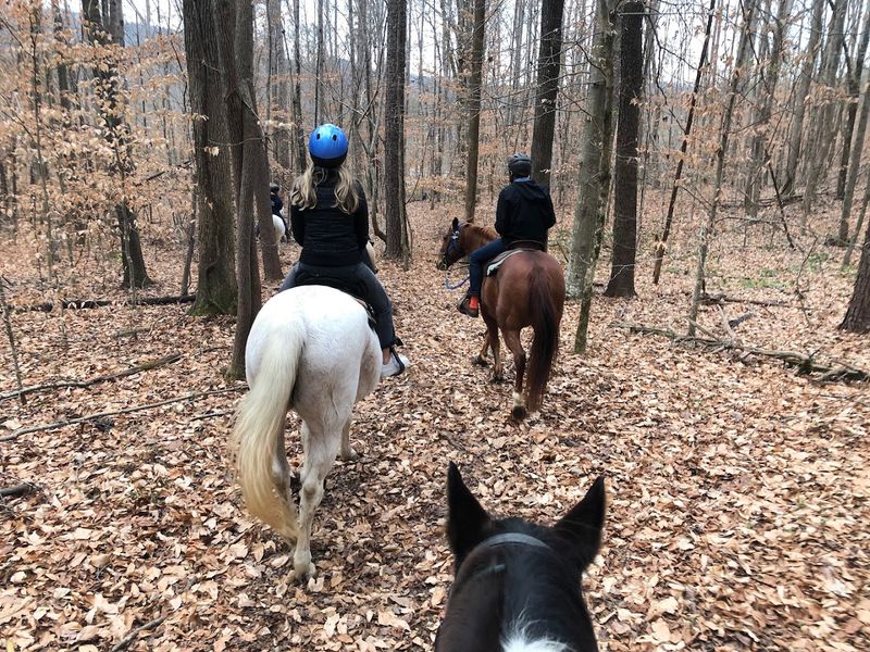 Hidden Hills Farm & Saddle Club &mdash; McDonald