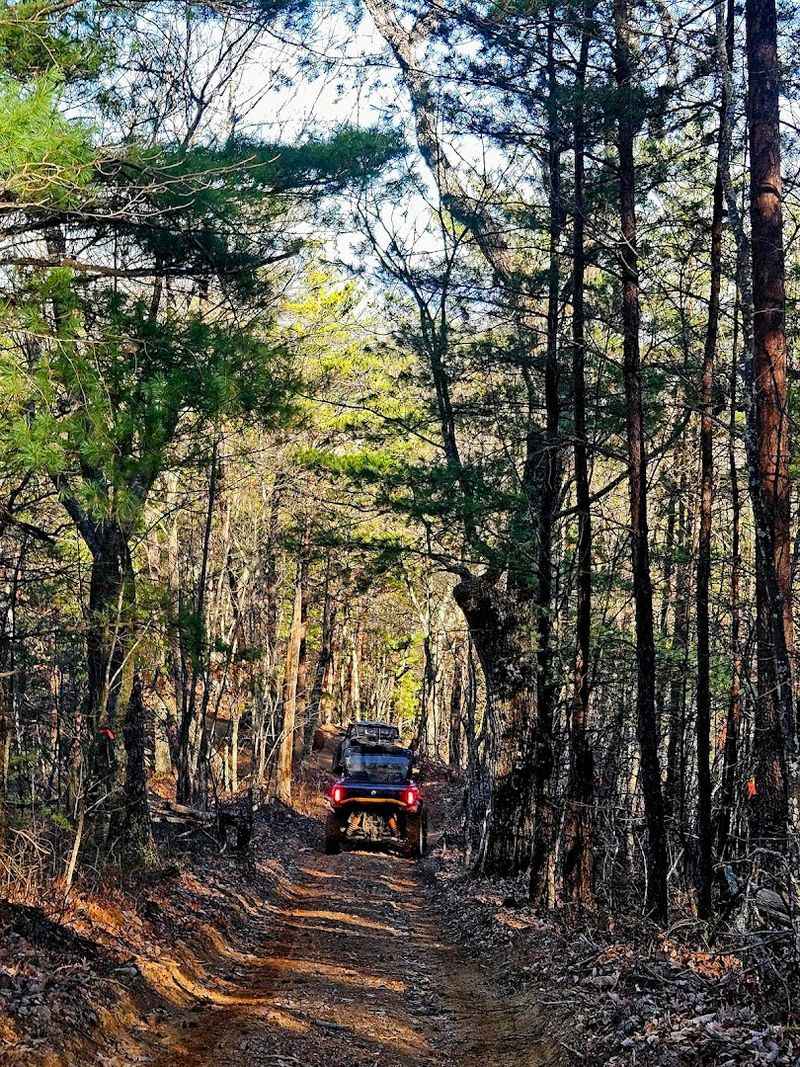 Why Spring Is the Best Time to Plan Your Visit