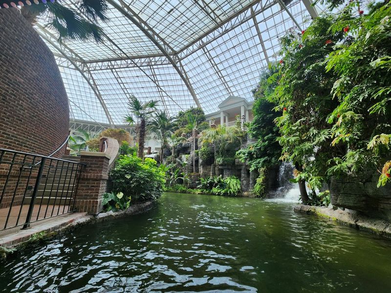 The Peaceful Side of Nashville Most Visitors Miss