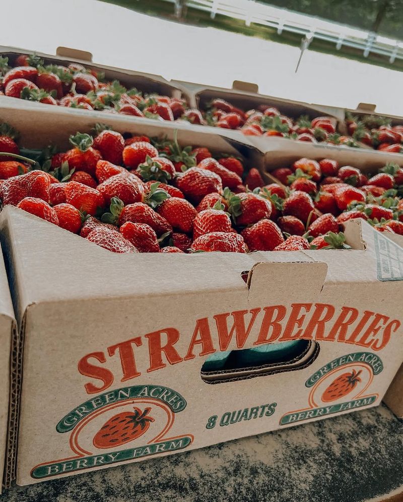 Fresh Strawberries Are the Star of the Season