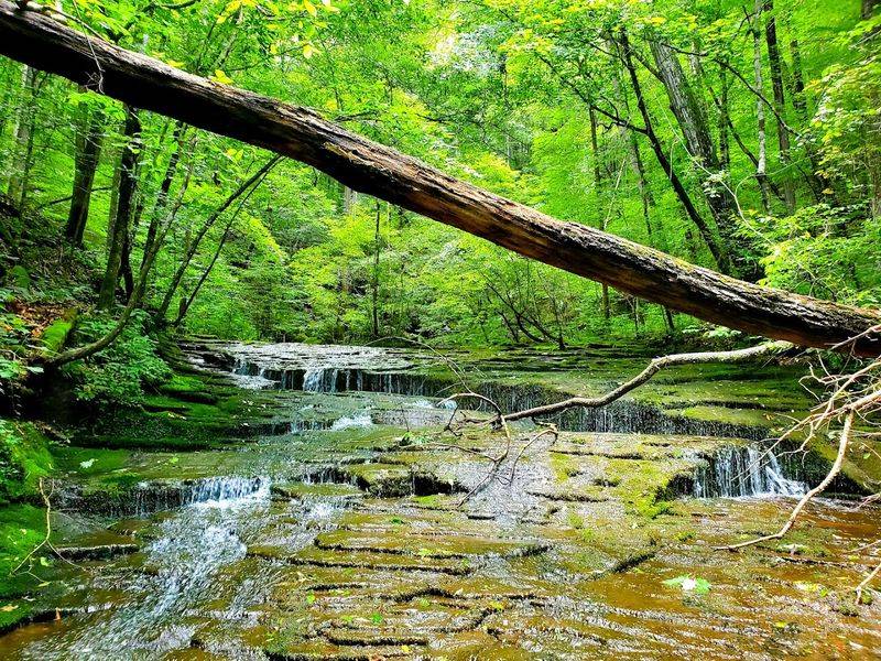 Tips for Hiking Lost Creek Trailhead Safely