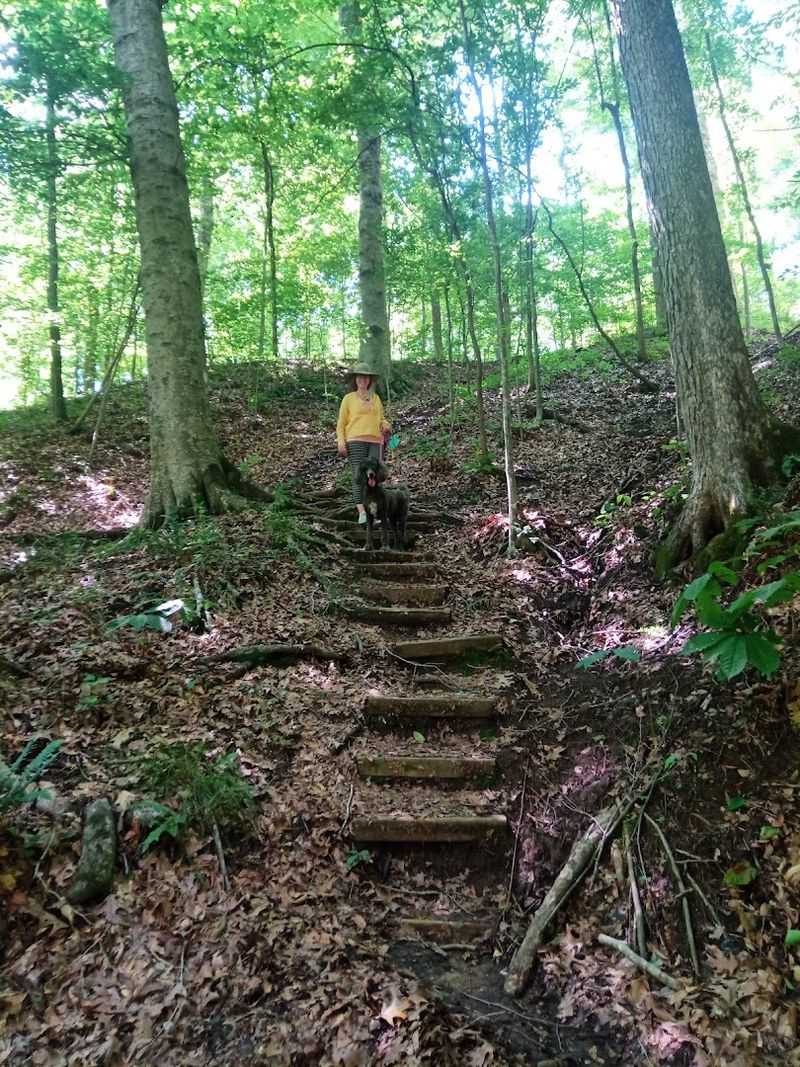 Chickasaw Bluff Trail, Meeman-Shelby Forest State Park