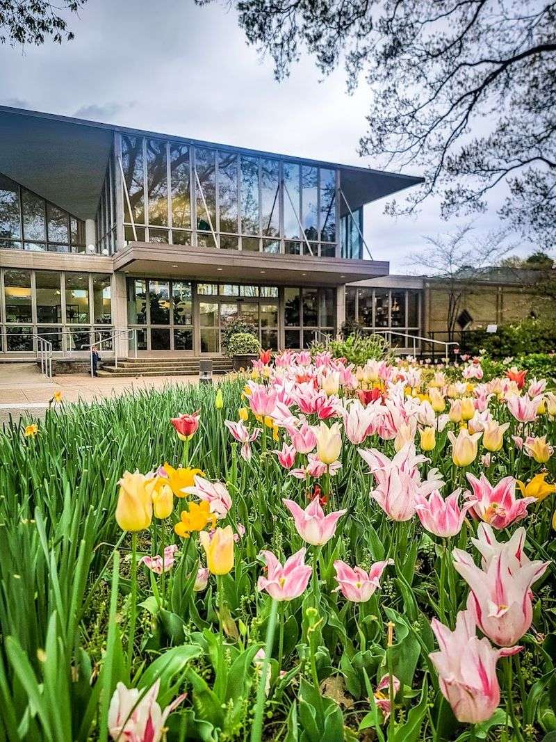 A peaceful escape hiding in the heart of Memphis