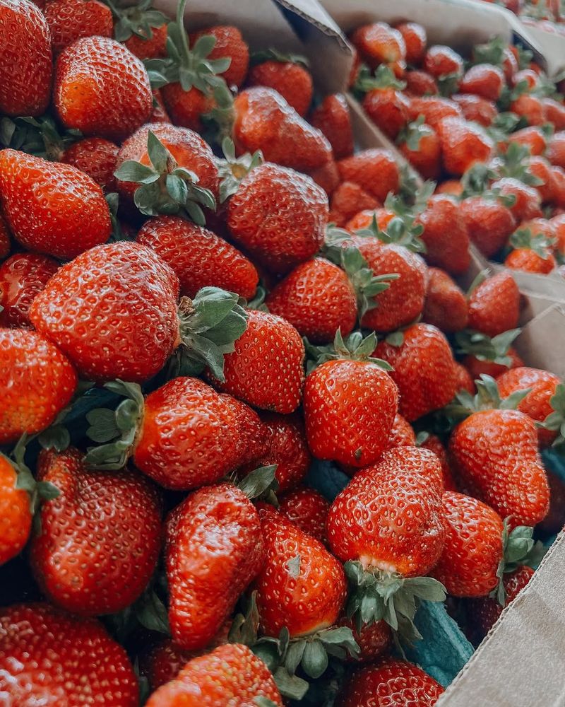 Why Everyone Heads to Green Acres in Spring