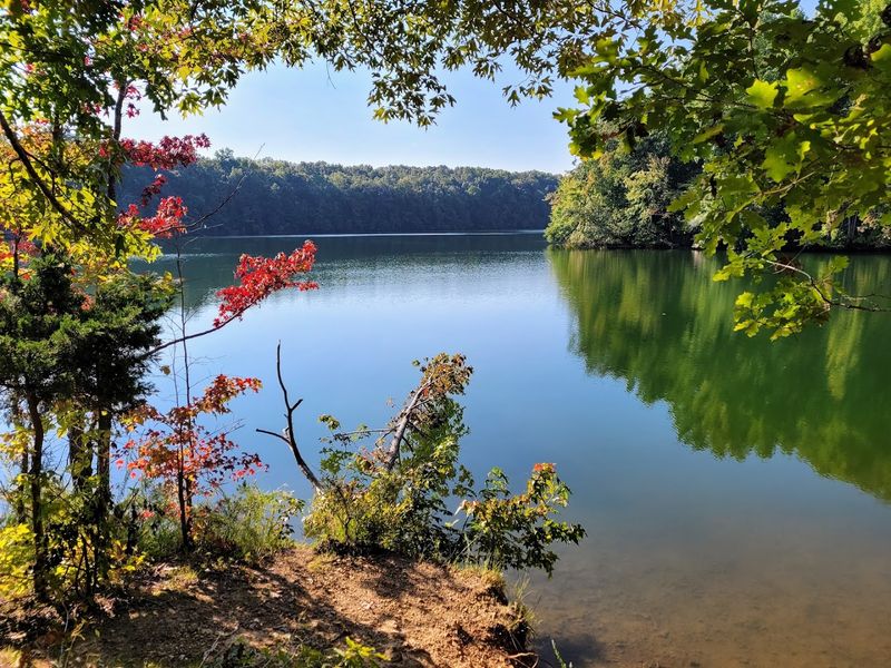 Tims Ford State Park, Winchester