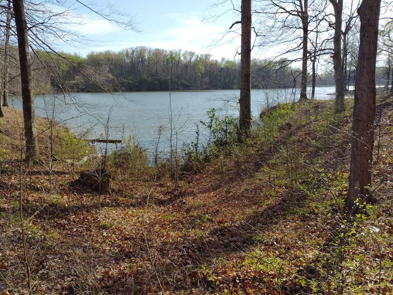 Meeman-Shelby Forest State Park