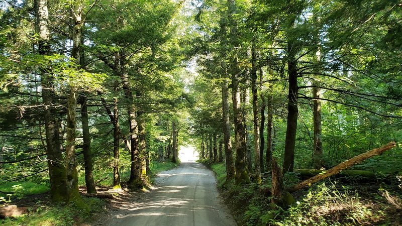 Every Season Brings a Different Kind of Beauty to the Smokies