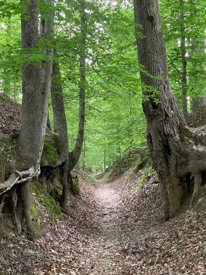 Natchez Trace National Scenic Trail