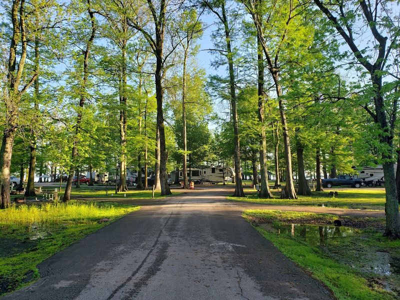Reelfoot Lake State Park &mdash; Tiptonville