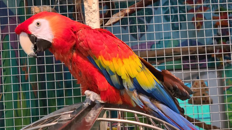 How Visitors and Supporters Help Keep the Sanctuary's Work Going