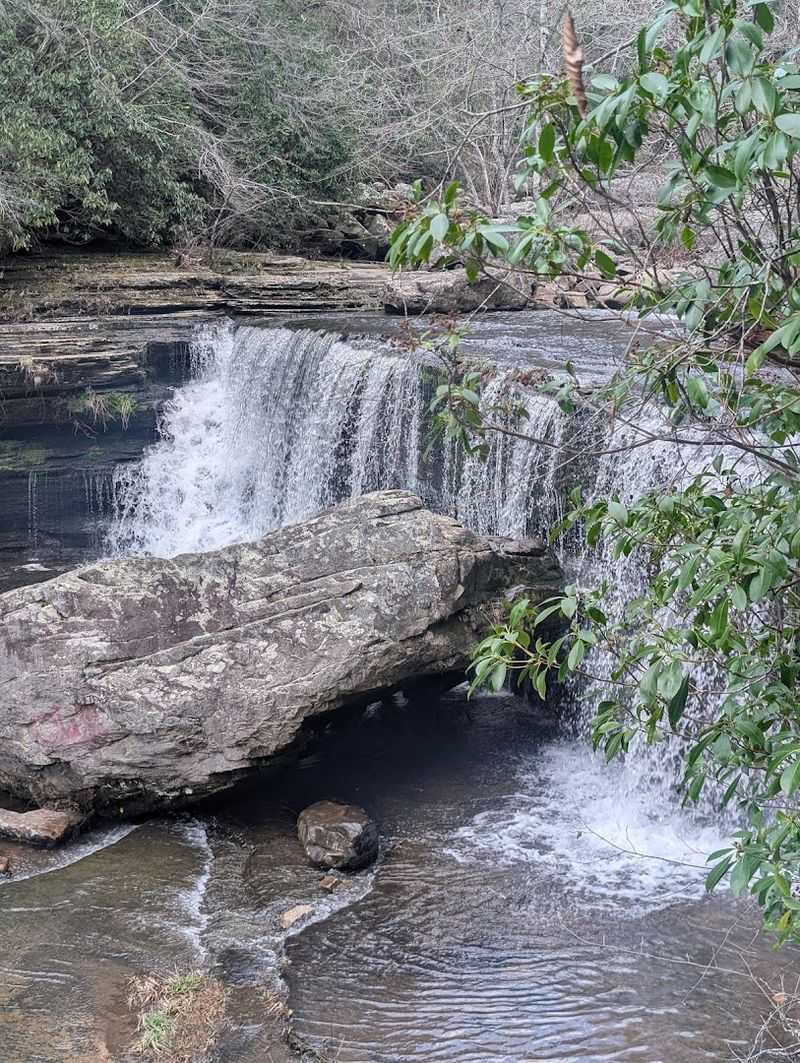 Savage Gulf State Park (Beersheba Springs)