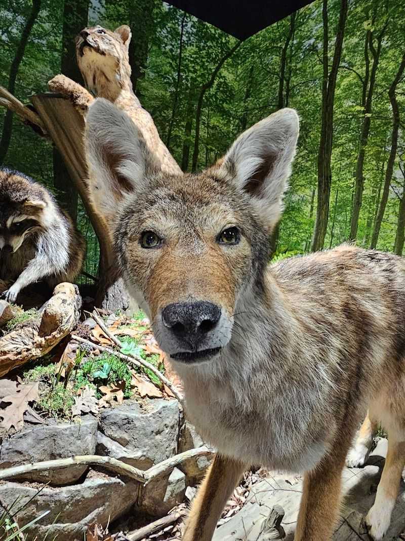 The Wildlife Habitats and Nature Encounters You Won't Want to Miss