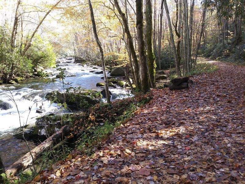 Little River Trail — Great Smoky Mountains National Park