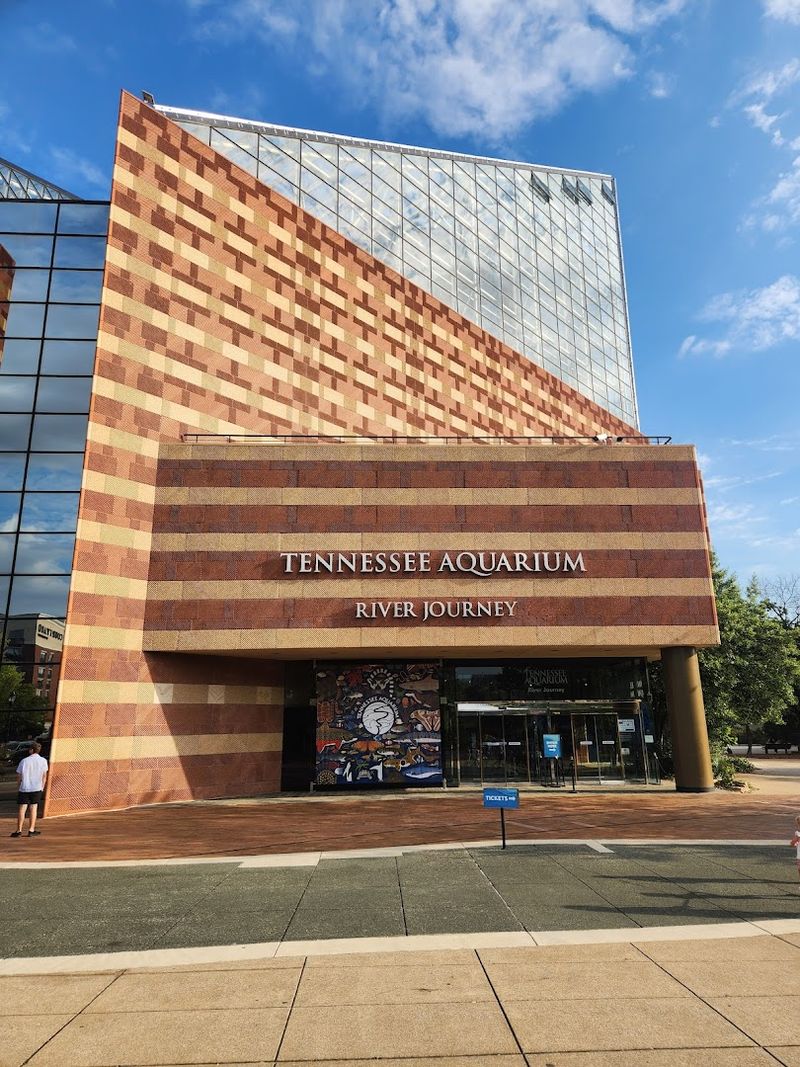 Add This Butterfly-Filled Tennessee Attraction to Your Must-Visit List