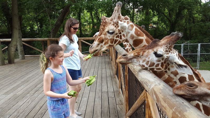 Memphis Zoo &mdash; Memphis