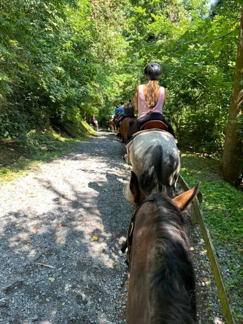 Big Rock Dude Ranch at Ponderosa &mdash; Pigeon Forge