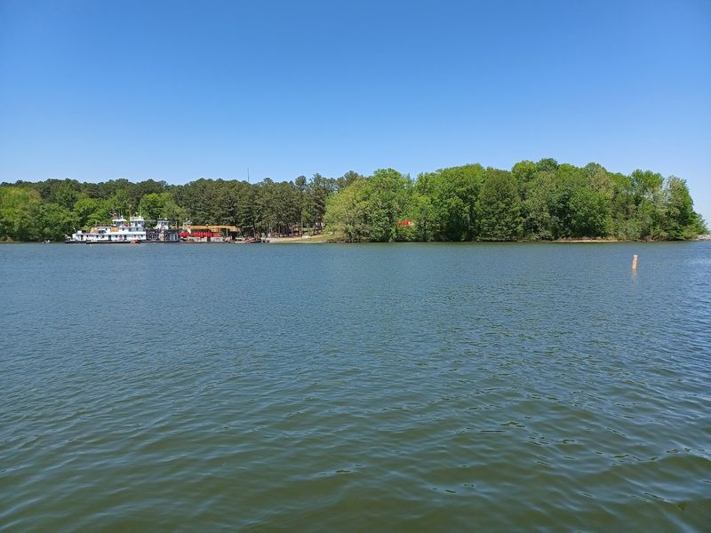 Paris Landing State Park - Buchanan