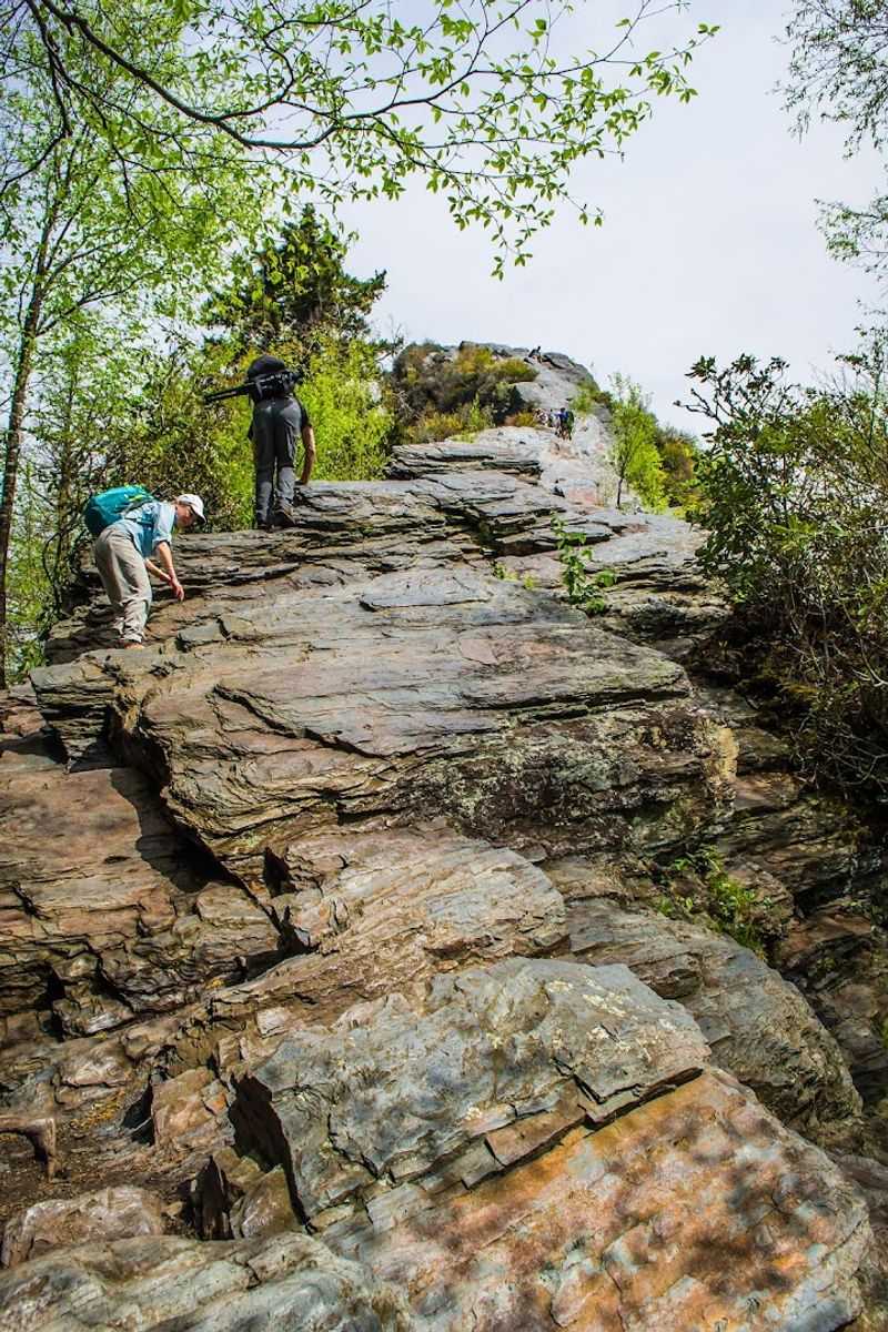 Why Chimney Tops feels so intense from the very start