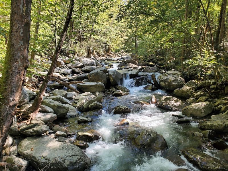 Ramsey Cascades Trail, Great Smoky Mountains National Park
