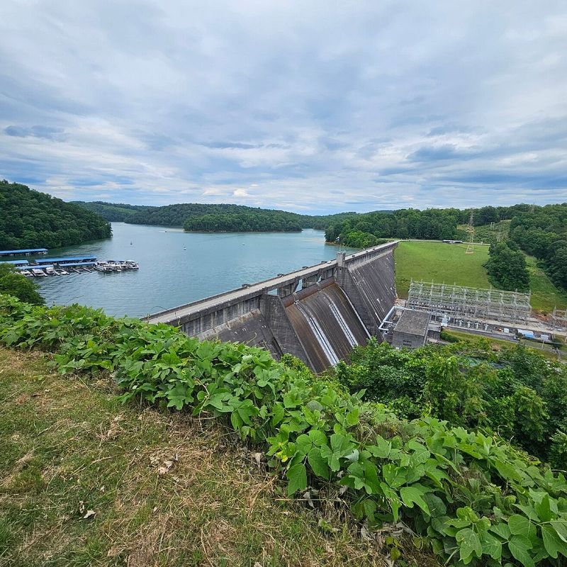 The Natural Beauty That Makes Norris Stand Out