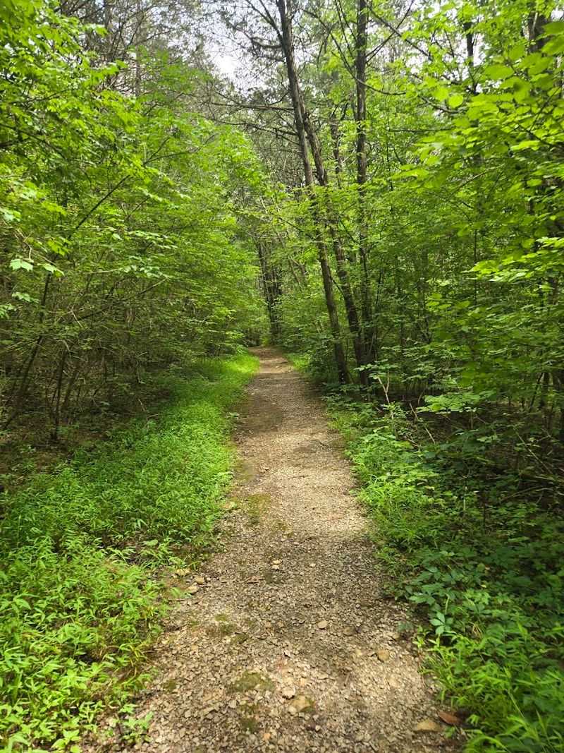 Why The Trails at Fontanel Deserves a Spot on Your Tennessee Bucket List