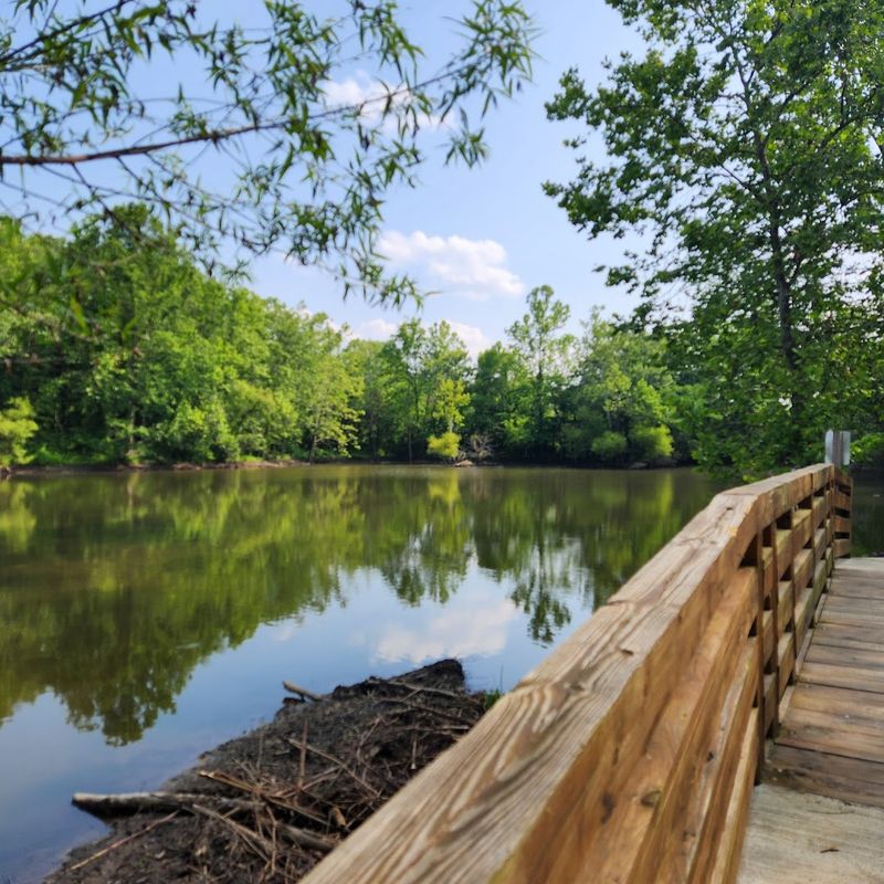 Why Erwin offers the balance of affordability, beauty, and peace so many retirees want