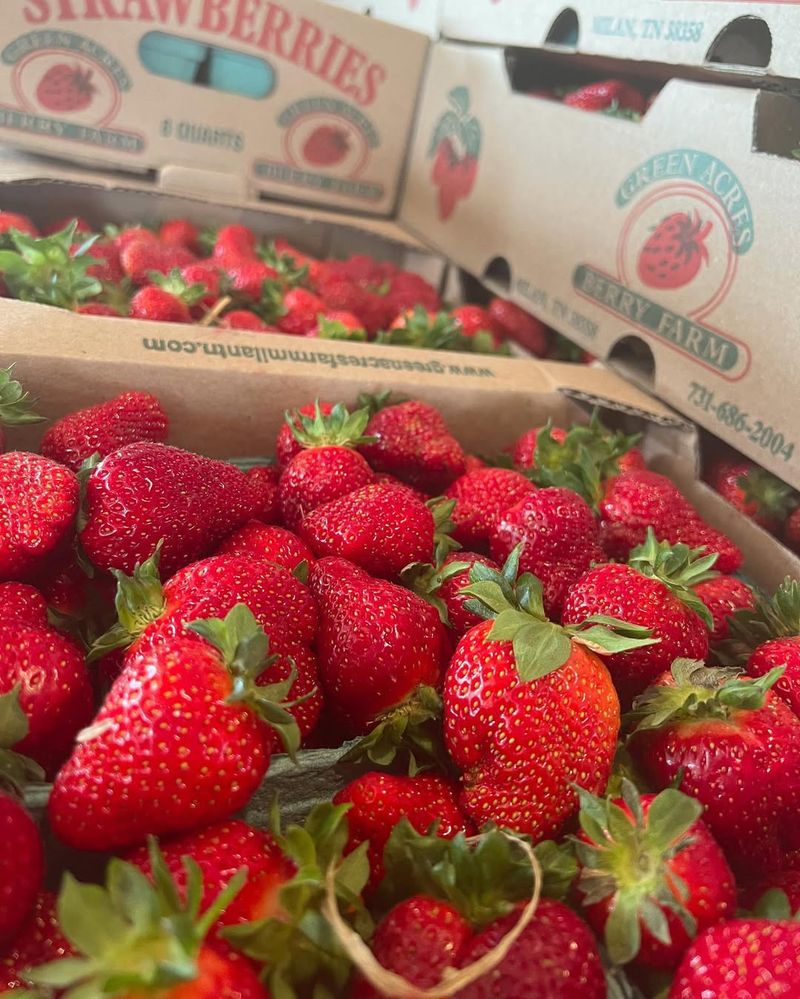 What to Know Before You Go