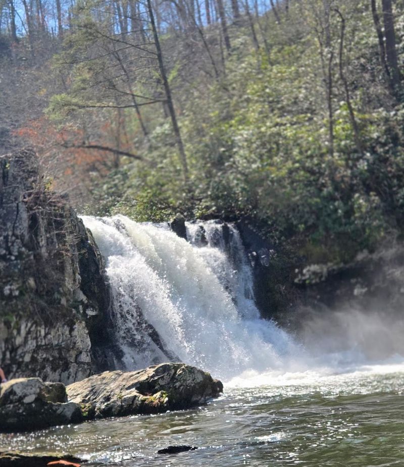 Abrams Falls Trail (Townsend)