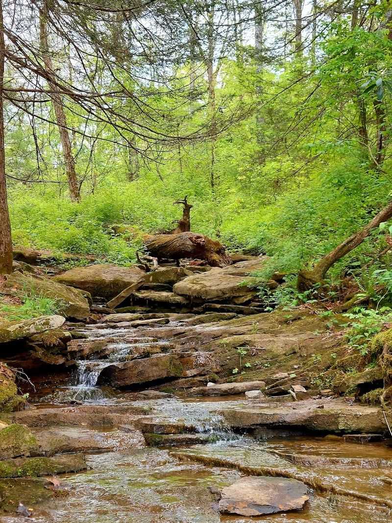 Whether You Want Adventure Or A Quiet Escape, You'll Find It Here