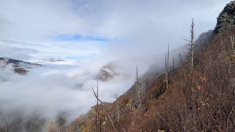 Why this short Tennessee hike feels harder than it looks