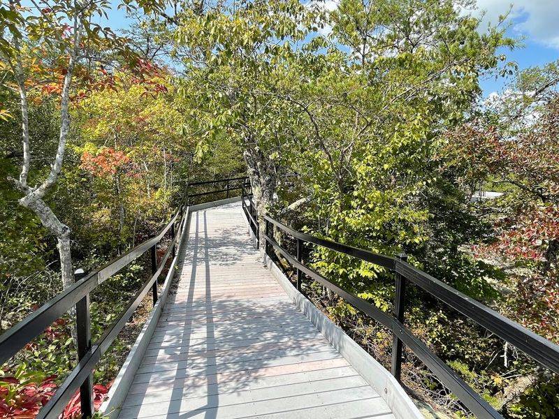 Why Obed Wild & Scenic River Belongs On Your Tennessee Travel List