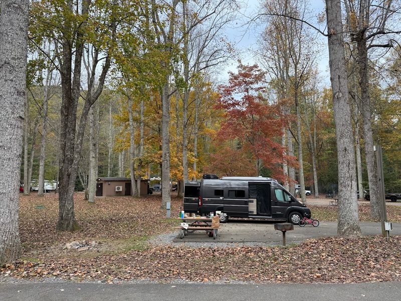 Roan Mountain State Park Campground &mdash; Roan Mountain