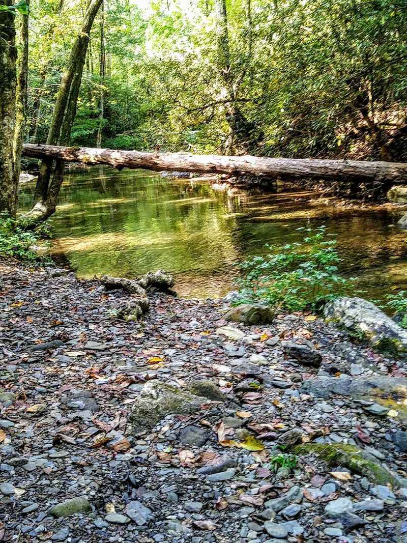 What Makes the Scenery Worth the Effort